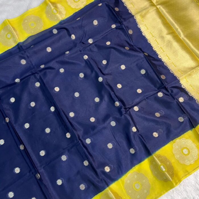 IMG_20250725_203728_738