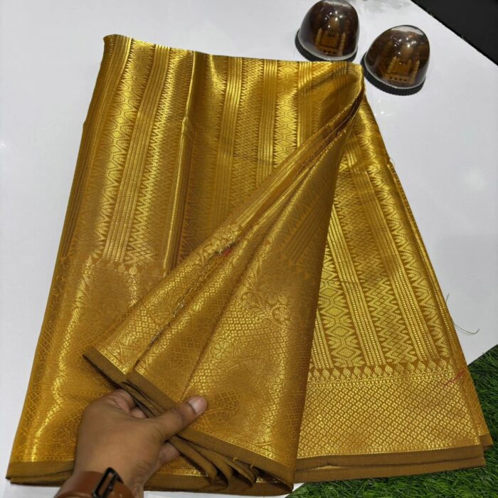 IMG_20250728_203138_605